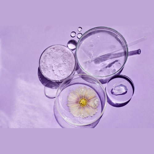 How to use the Dream Capsule System A.M + P.M